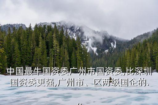 中國(guó)最牛國(guó)資委廣州市國(guó)資委,比深圳國(guó)資委更強(qiáng),廣州市、區(qū)兩級(jí)國(guó)企的...