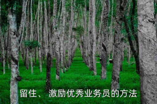 留住、 激勵優(yōu)秀業(yè)務(wù)員的方法