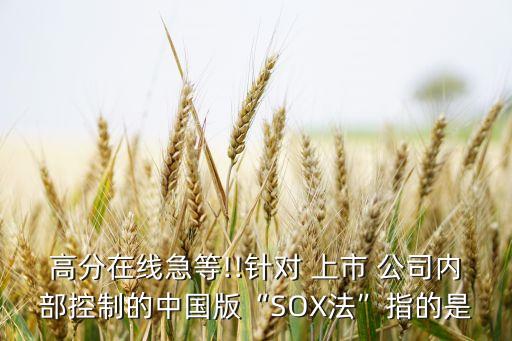 高分在線急等!!針對(duì) 上市 公司內(nèi)部控制的中國(guó)版“SOX法”指的是