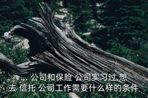 ... 公司和保險 公司實習過,想去 信托 公司工作需要什么樣的條件