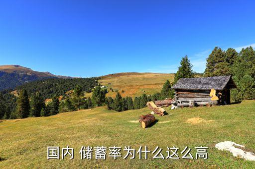 國(guó)內(nèi) 儲(chǔ)蓄率為什么這么高