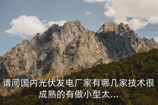 請(qǐng)問(wèn)國(guó)內(nèi)光伏發(fā)電廠家有哪幾家技術(shù)很成熟的有做小型太...