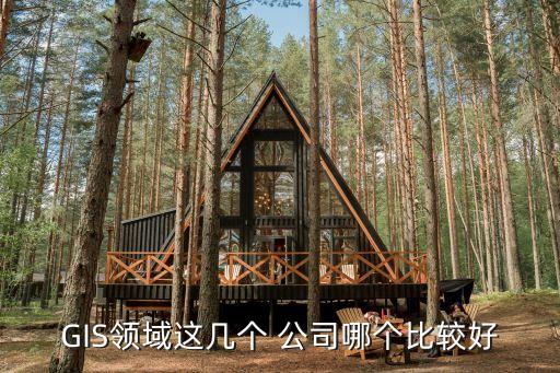 GIS領(lǐng)域這幾個 公司哪個比較好