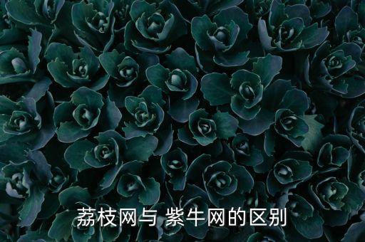紫?；鸸?張泉靈 紫?；?/></a></span><span id=