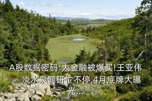 A股數(shù)據(jù)密碼:大金融被爆買!王亞偉、 淡水泉調研忙不停,4月底牌大曝光...