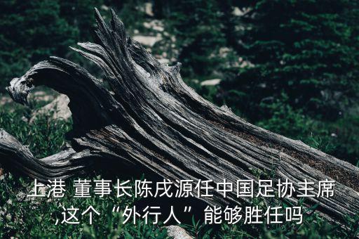  上港 董事長陳戌源任中國足協(xié)主席,這個(gè)“外行人”能夠勝任嗎