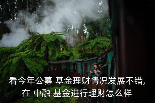 看今年公募 基金理財(cái)情況發(fā)展不錯,在 中融 基金進(jìn)行理財(cái)怎么樣