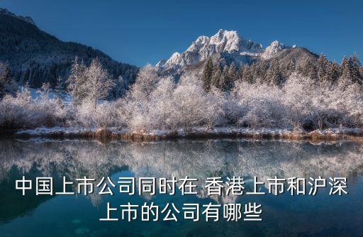 中國(guó)上市公司同時(shí)在 香港上市和滬深上市的公司有哪些