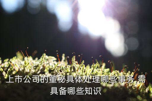 上市公司的董秘具體處理哪些事務(wù),需具備哪些知識