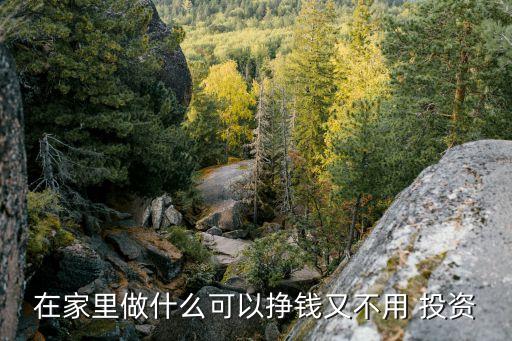 在家里做什么可以掙錢(qián)又不用 投資