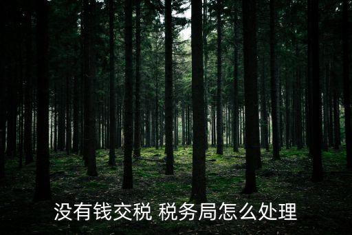 沒(méi)有錢(qián)交稅 稅務(wù)局怎么處理