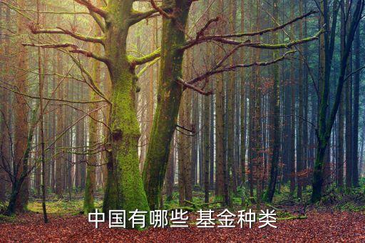 中國(guó)有哪些 基金種類