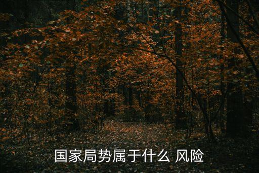 國(guó)家局勢(shì)屬于什么 風(fēng)險(xiǎn)
