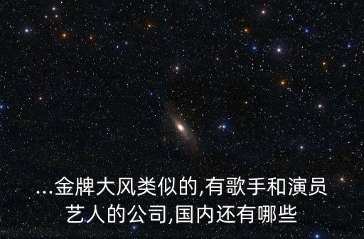 ...金牌大風類似的,有歌手和演員藝人的公司,國內(nèi)還有哪些