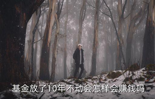  基金放了10年不動(dòng)會(huì)怎樣會(huì)賺錢(qián)嗎