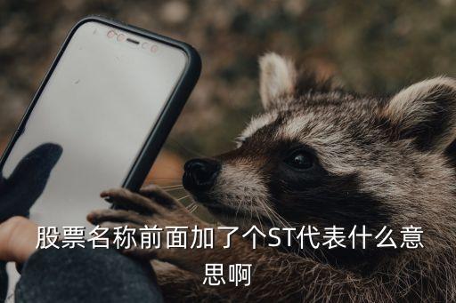  股票名稱前面加了個ST代表什么意思啊
