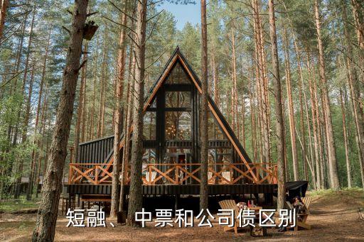 短融、 中票和公司債區(qū)別
