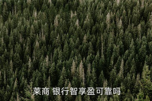 萊商銀行理財(cái)產(chǎn)品哪個好
