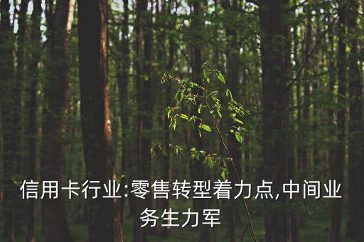 信用卡行業(yè):零售轉(zhuǎn)型著力點,中間業(yè)務生力軍