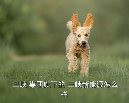  三峽 集團(tuán)旗下的 三峽新能源怎么樣