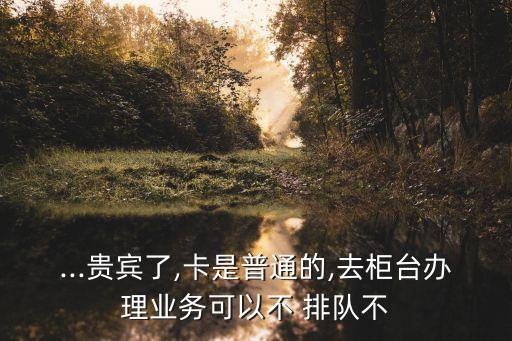 ...貴賓了,卡是普通的,去柜臺辦理業(yè)務(wù)可以不 排隊(duì)不