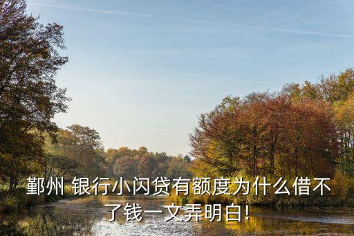  鄞州 銀行小閃貸有額度為什么借不了錢(qián)一文弄明白!