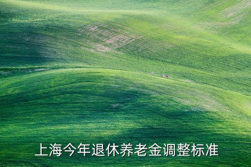  上海今年退休養(yǎng)老金調(diào)整標(biāo)準(zhǔn)