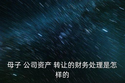 母子 公司資產 轉讓的財務處理是怎樣的