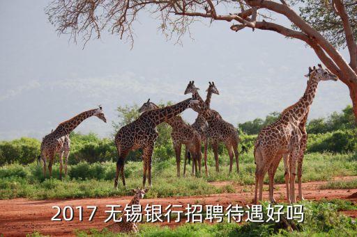 無錫農村商業(yè)銀行工資,農村商業(yè)銀行工資流水賬單怎么打