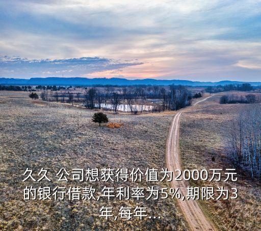 久久 公司想獲得價值為2000萬元的銀行借款,年利率為5%,期限為3年,每年...