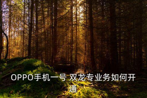 OPPO手機(jī)一號(hào) 雙龍專業(yè)務(wù)如何開(kāi)通