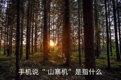 手機(jī)說“ 山寨機(jī)”是指什么