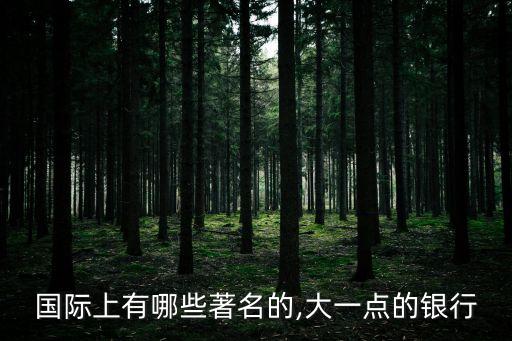 國際上有哪些著名的,大一點(diǎn)的銀行
