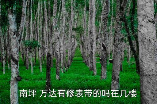 南坪 萬達有修表帶的嗎在幾樓
