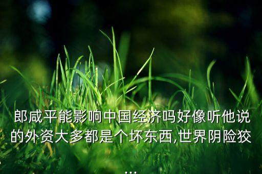  郎咸平能影響中國經(jīng)濟(jì)嗎好像聽他說的外資大多都是個壞東西,世界陰險狡...