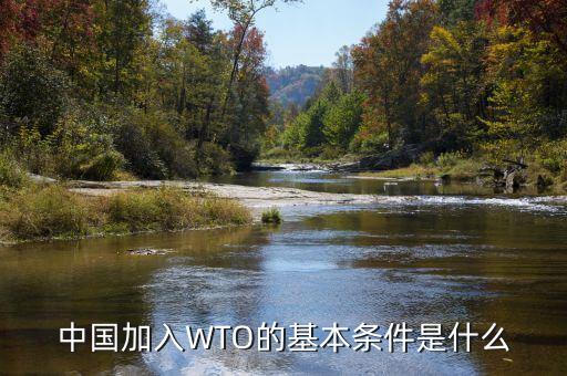 中國加入WTO的基本條件是什么