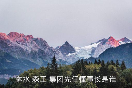 露水 森工 集團(tuán)先任懂事長(zhǎng)是誰(shuí)