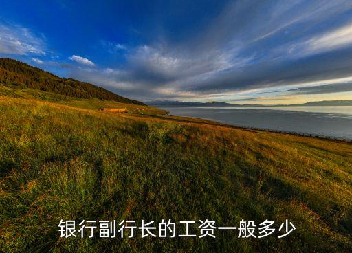  銀行副行長的工資一般多少