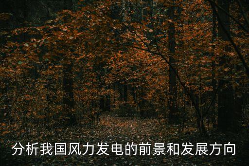 分析我國(guó)風(fēng)力發(fā)電的前景和發(fā)展方向