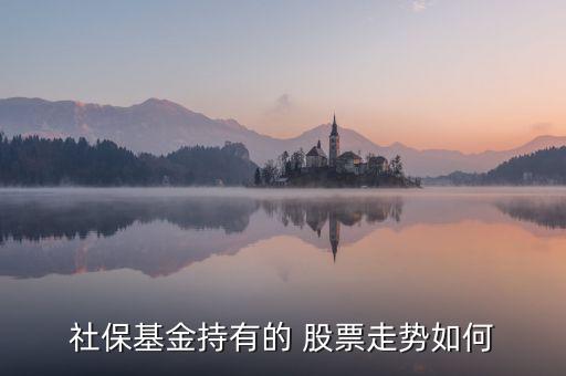新都化工股票發(fā)行價