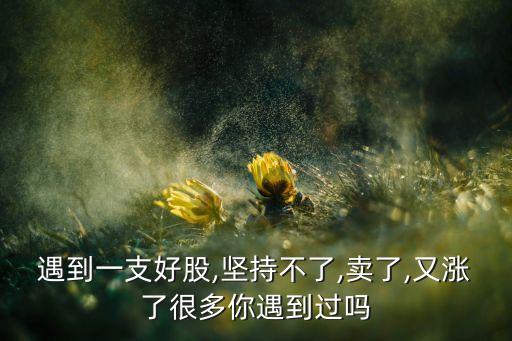 遇到一支好股,堅(jiān)持不了,賣了,又漲了很多你遇到過(guò)嗎