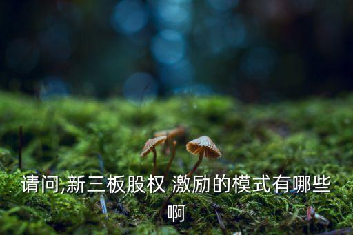 請問,新三板股權 激勵的模式有哪些啊