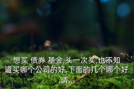 想買 債券 基金,頭一次買,也不知道買哪個(gè)公司的好,下面的幾個(gè)哪個(gè)好,請(qǐng)...