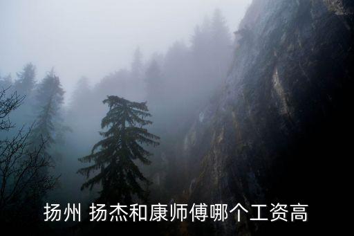 揚(yáng)州 揚(yáng)杰和康師傅哪個(gè)工資高