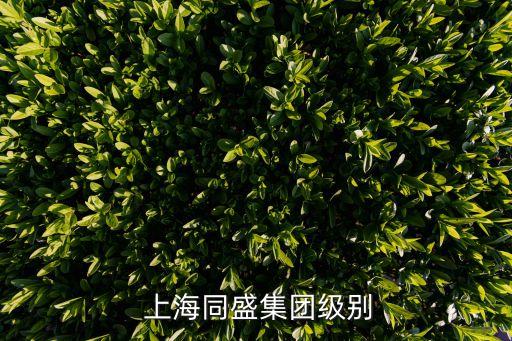  上海同盛集團(tuán)級別