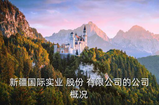 新疆國(guó)際實(shí)業(yè) 股份 有限公司的公司概況