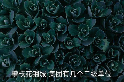 攀枝花鋼城 集團有幾個二級單位