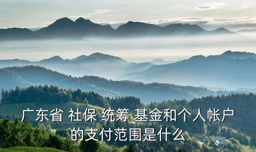 廣東省 社保 統(tǒng)籌 基金和個(gè)人帳戶(hù)的支付范圍是什么