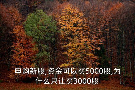 申購(gòu)新股,資金可以買5000股,為什么只讓買3000股