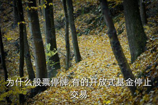 為什么股票停牌,有的開(kāi)放式基金停止交易